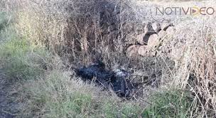 Vídeos, fotos, audios, resúmenes y toda la información de cuerpo calcinado en rpp noticias. Localizan Un Cuerpo Calcinado