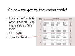 Codon Table