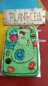 Use an appropriately sized baggie filled with air or crumpled plastic wrap. Kondey School On Twitter Science Making A Model Of A Plant Cell Using Icing