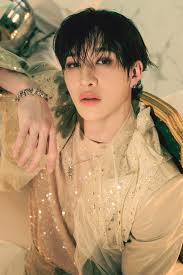 Christopher Chan aka bang Chan from stray kids