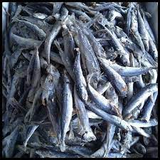 We did not find results for: Jual Murah Meriah Ikan Asin Layang Rebus Ikan Cue Ikan Pindang 250gr Di Lapak Filsa Lapak Bukalapak