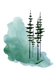 See more ideas about painting art projects, art painting, amazing art painting. 250 Beginner Watercolor Ideas In 2021 Watercolor Watercolor Paintings Watercolor Art
