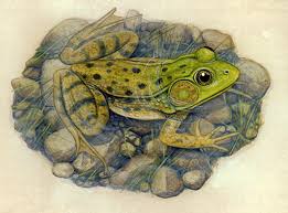 Analysing site traffic and usage. Breisch Identifies The Nature And Worth Of Herps In Our Midst The Altamont Enterprise
