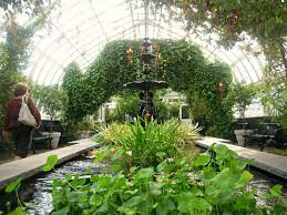 Visiting nybg's enid a haupt conservatory in the bronx the new york botanical garden's enid a. A Visit To The Remarkable Enid A Haupt Conservatory The Boondocks Blog