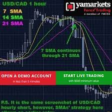 Forex Tgrading Forex Trading Transaction Cost Stock Trading