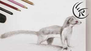 40 realistic animal pencil drawings. How To Draw Animals 50 Free Tutorial Videos To Help You Learn Step By Step