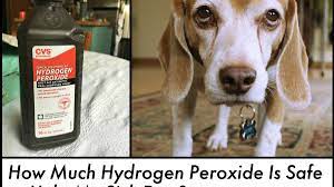 Can You Give A Dog Too Much Hydrogen Peroxide Pethelpful