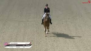 I must confess i was a little apprehensive before the charlotte dujardin master class. Clipmyhorse Tv Great Britain Charlotte Dujardin Gio Win Cdi4 Dressage At Horses Dreams 2021 Facebook