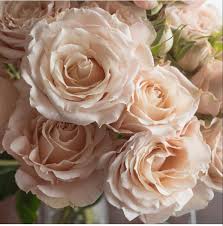 Since roses are one of the most popular flowers to send for a number of different holidays, i wanted to share a few tips for fresh flowers with you. Pin On How Long Do Roses Last