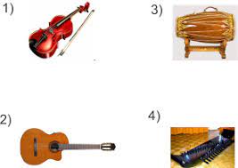 Konsumen yang termasuk dalam kelompok omnivore adalah *a. Alat Musik Yang Dibunyikan Dengan Cara Digetarkan Adalah Berbagai Alat