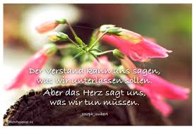 Der Verstand Kann Uns Sagen Was Wir Unterlassen Sollen Aber Das