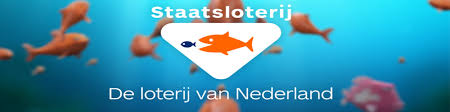 Help lucky de overwinning te claimen in de doodle champion island games! De Staatsloterij En Lotto Gaan Samenwerken