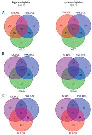 Double hit lymphomas & grey zone lymphomas. Methylation Profiling Of Mediastinal Gray Zone Lymphoma Reveals A Distinctive Signature With Elements Shared By Classical Hodgkin S Lymphoma And Primary Mediastinal Large B Cell Lymphoma Haematologica