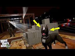 Beyaz Pitbull Jack Rottweiler Ile Kafes Dovusu Yapiyor Gta 5 Youtube