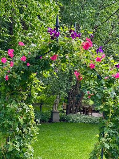 climbing plants in secret garden