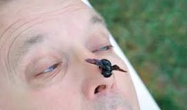 Image result