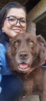 Good afternoon, Choco says hi!! 🐾🤎🤍🐾