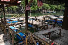 We revisit langkawi fish farm for lunch on our second day. Kilim Karst Geoforest Park Langkawi Malaysia Photos Map Tips For 2021