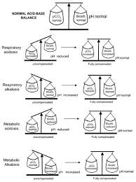 An Introduction To Acid Base Balance In Health And Disease