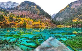 ØµÙØ±Ø© Ø°Ø§Øª ØµÙØ©