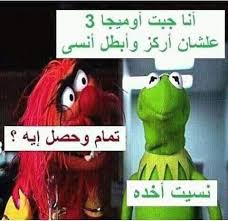 12 صورة نكت خلفيات رمزيات الضفدع كيرميت صورة 1 Fun Quotes Funny Funny Quotes For Instagram Funny Picture Quotes
