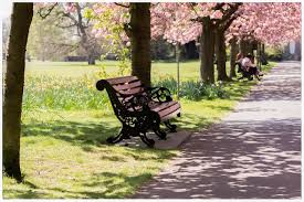 The park is divided in two by the serpentine lake. Ten More Interesting Facts About Hyde Park Londontopia