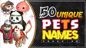 Open garena free fire, then open the 'pet' tab. Top 50 Best Pet Name For Freefire Unique Name For Pet Vipbrothersgaming Youtube