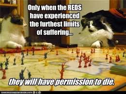 Even When Victory Is Sealed You Let The Game Drag On Like A Sadistic Jerk Funny Cat Memes Funny Cat Games Cat Memes