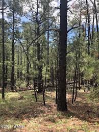 Find greer, az homes for sale, real estate, apartments, condos & townhomes with coldwell banker realty. Hgkm3dkmzrrfpm
