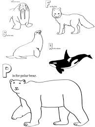 Free printable fall coloring pages that are great for both adults and kids. Arctic Animals Printable Coloring Pages Arctic Animals Arctic Animals Printables Animal Printables