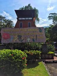 Plan your trip to teluk bahang. Eco Capsule Resort At Teluk Bahang Penang Batu Ferringhi Updated 2021 Prices