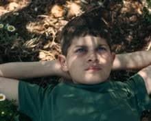 The Letters of Samuel Beckett 1966-1989 review