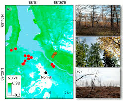 Image result for Federal Yellow 1988 Western Industrial Finishes