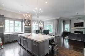 The kitchen is often the very nerve center of the home, so having the right kitchen cabinets becomes essential. Gray Kitchen Cabinets Modern Kitchen Pricey Pads
