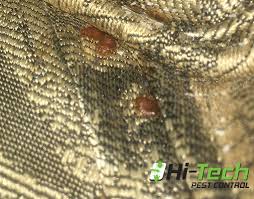 Need a pest control company you can trust to do the job right? Home Page Welcome To Hi Tech Pest Control