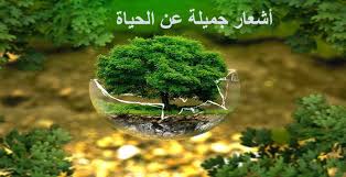 Pin On شعر
