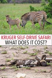Dr nicola grobler or dr lochner slabbert at paarl chiropractic 0218633206. How Much Does It Cost To See A Chiropractor In South Africa