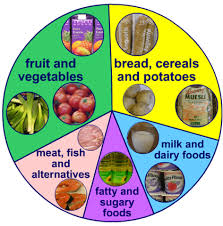 Pie Chart Of A Balanced Diet Karen Guillory