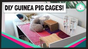 Maybe you would like to learn more about one of these? Guinea Pig Indoor C C And Diy Cages 2020 Build And Design Your Own Custom Cage Youtube
