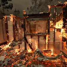 Fundraiser by Elyse Thoms : HELP ME PROVIDE RESOURCES FOR FIRE VICTIMS IN  LA!!!