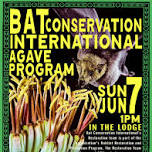 Bat Conservation International