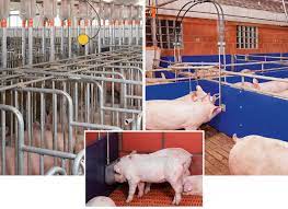 Stockyard Industries Australia S Largest Supplier Of Pig Poultry Equipment