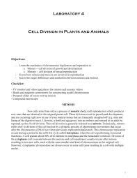 In both animals and plants, cells generally become specialized to perform certain functions. Laboratory 4 Cell Division In Plants And Animals Rowan