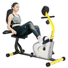 Schwinn 230 recumbent exercise bike. 11 Best Exercise Bikes For Seniors Reviews And Buyer S Guide