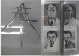 They are described as having blonde hair, blue eyes, pale white skin. Nazi Racialization Of The Jews Sociological Images