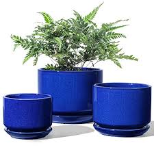 2x plant pot bamboo saucer succulent holding drainage tray for ceramic planter. Le Tauci Indoor Planter 4 5 5 6 6 Inch Ceramic Plant Pots With Drainage Hole Round Flower Planter Pot For Plants With Saucer Tray Small To Large Sized Aqua Set Of 3 Buy Online In Bahamas