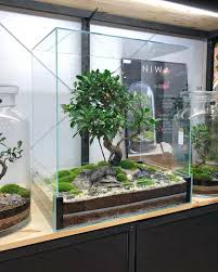 Gambar Mungkin Berisi Tanaman Fantasy Castle Pet Home Terrarium