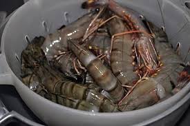 Crevettes Sautee A L Ail Recette En 2020 Recette De Crevettes Crevettes Crevettes Sautees