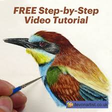 Free Watercolor Video Tutorial On Painting A Bee Eater Bird In Fine Detail In 2020 Learn Watercolor Videos Tutorial Devon Artist