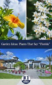 Maybe you would like to learn more about one of these? Garden Ideas Plants That Say Florida Florida Lifestyles